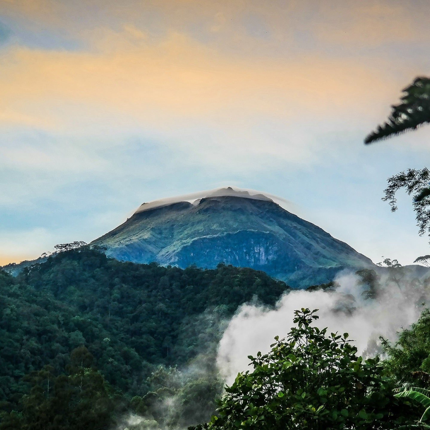 Mount Apo Anaerobic Natural